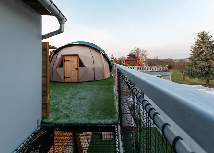 Dome Du Levant * Holving